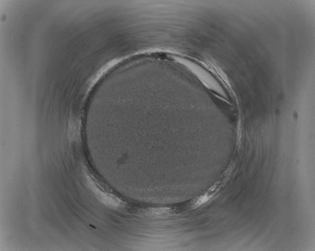 X0000081460108200701261948