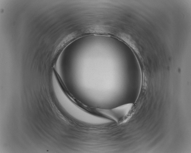 X0000081460109200701261948