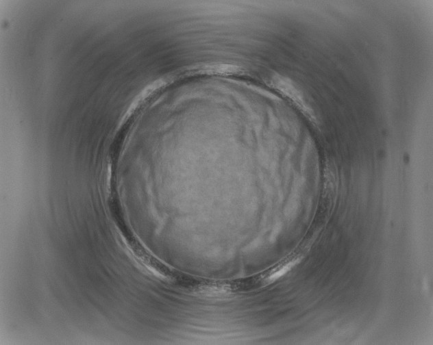 X0000081460110200701261948