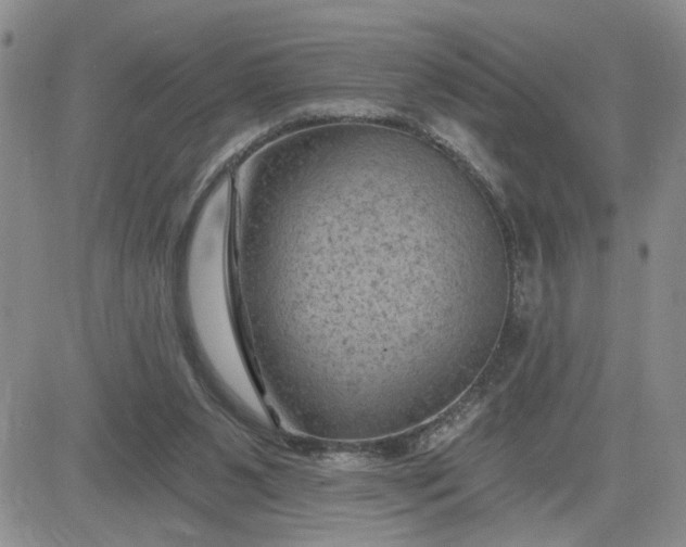 X0000081460111200701261948