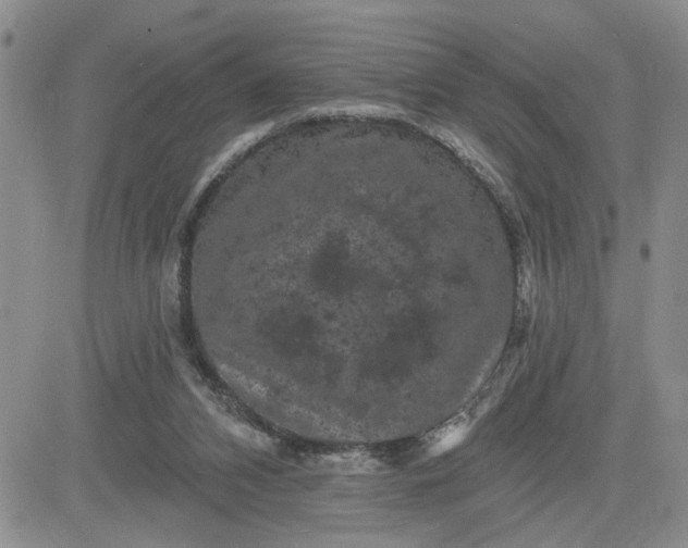 X0000081460112200701261948