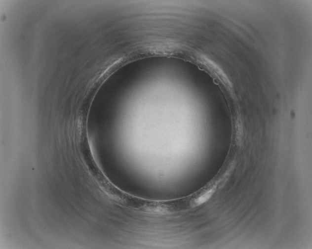 X0000081460113200701261948