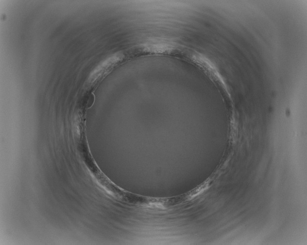 X0000081460114200701261948