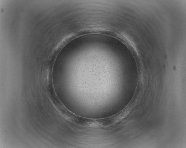 X0000081460115200701261948