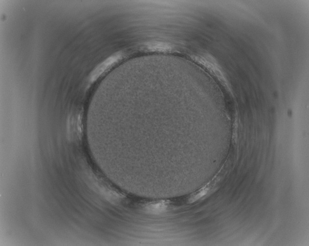 X0000081460116200701261947