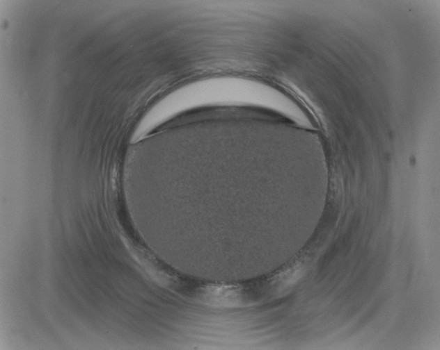 X0000081460117200701261947