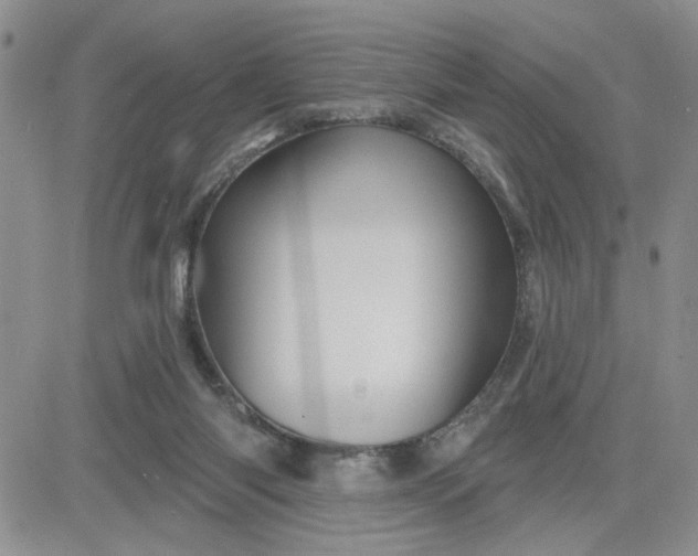 X0000081460118200701261947