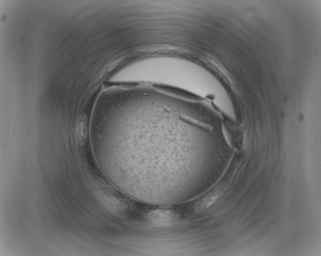 X0000081460119200701261947