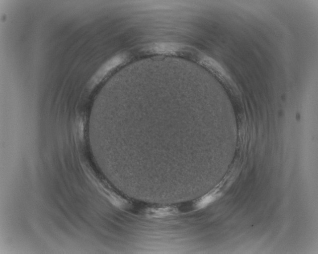 X0000081460120200701261947