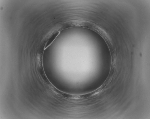 X0000081460121200701261947