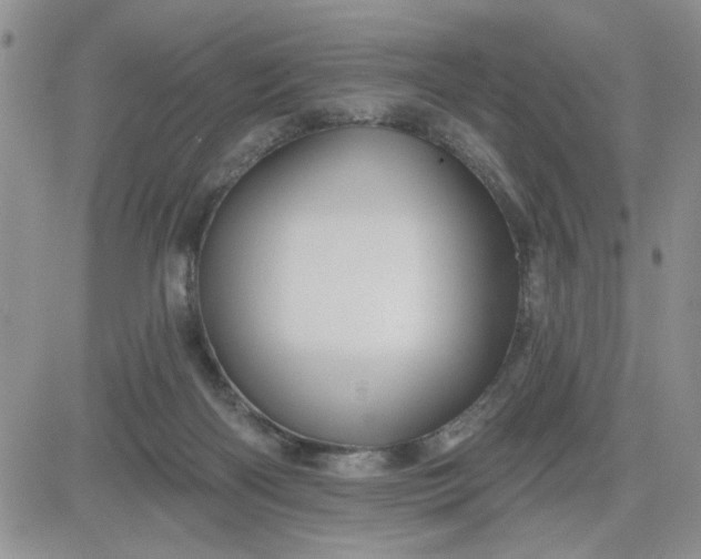 X0000081460122200701261947