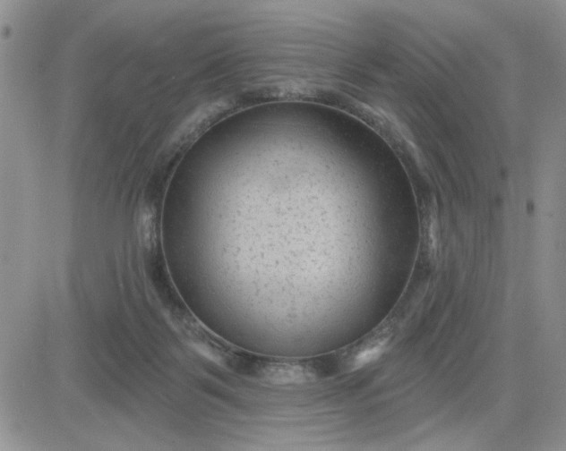 X0000081460123200701261947