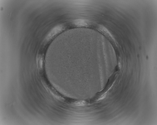 X0000081460124200701261947