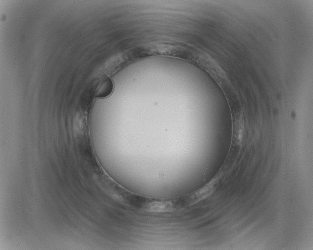 X0000081460126200701261947