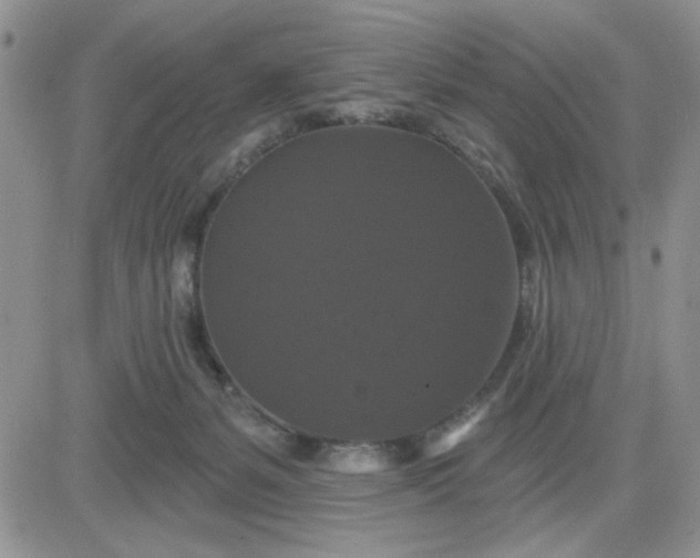 X0000081460127200701261947