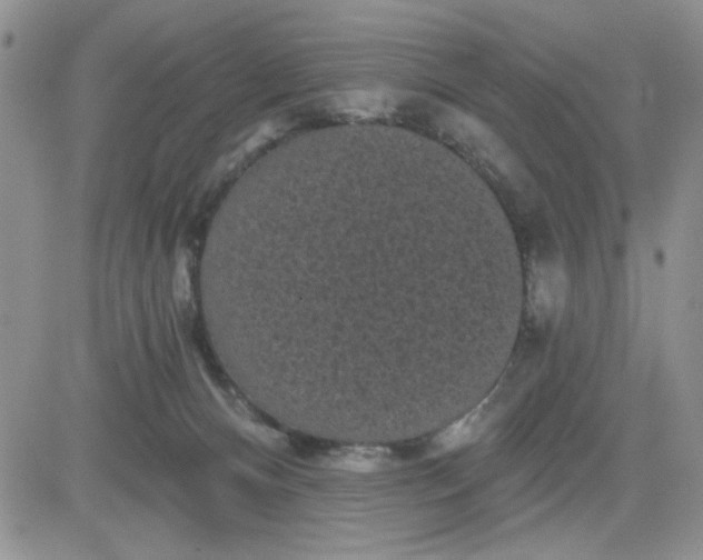 X0000081460128200701261947