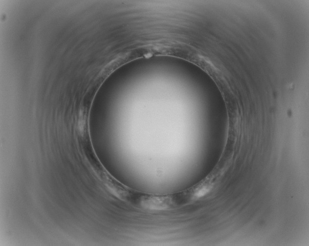 X0000081460129200701261947