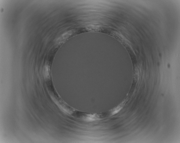 X0000081460130200701261947