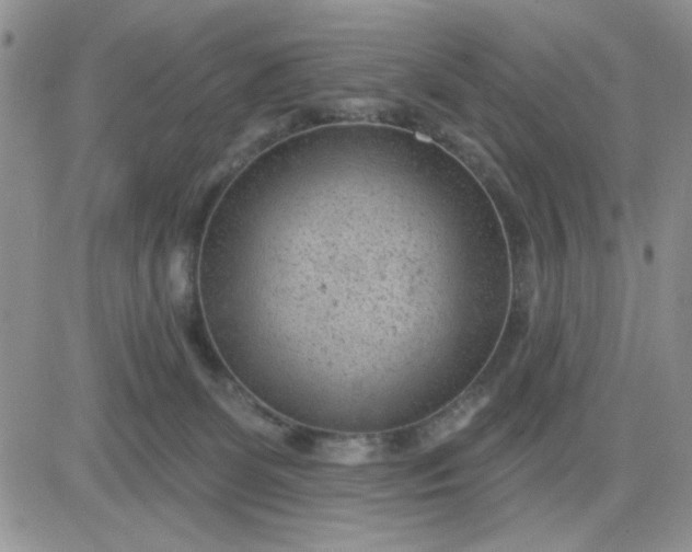 X0000081460131200701261947