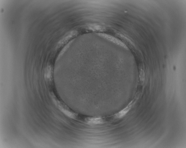 X0000081460132200701261947