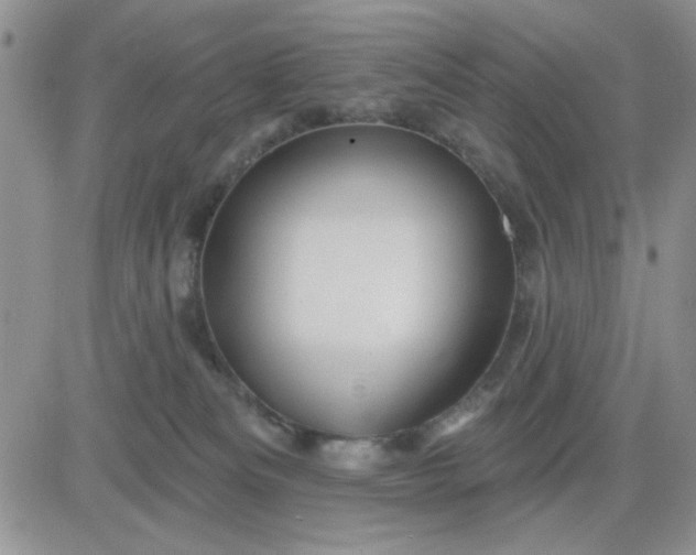 X0000081460133200701261947