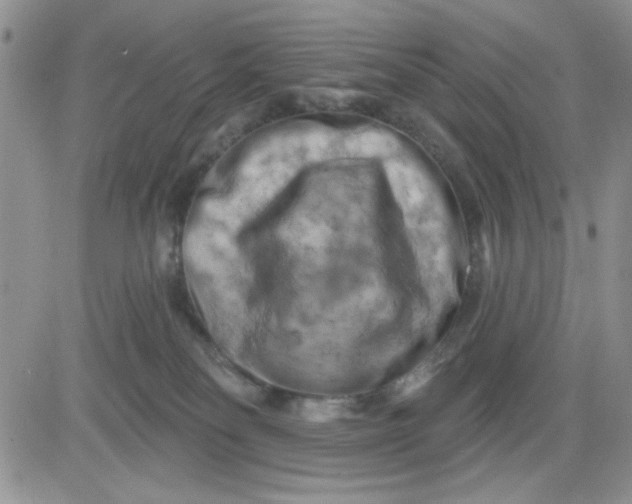 X0000081460134200701261947