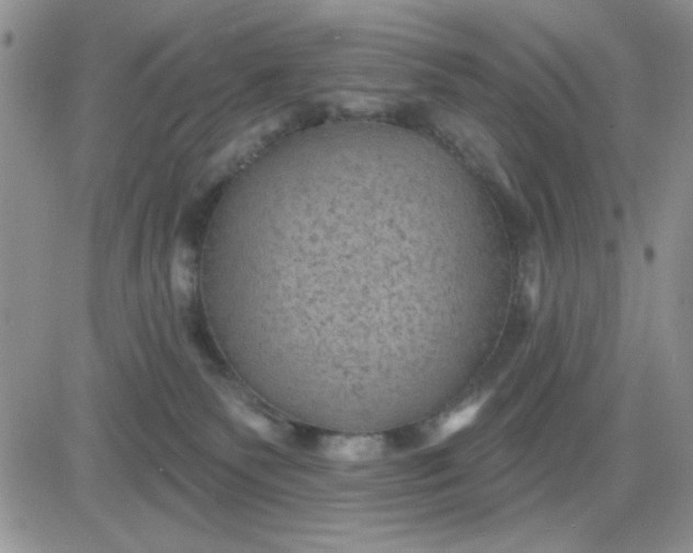 X0000081460135200701261947