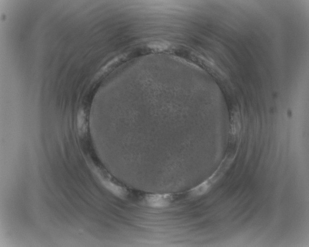 X0000081460136200701261947