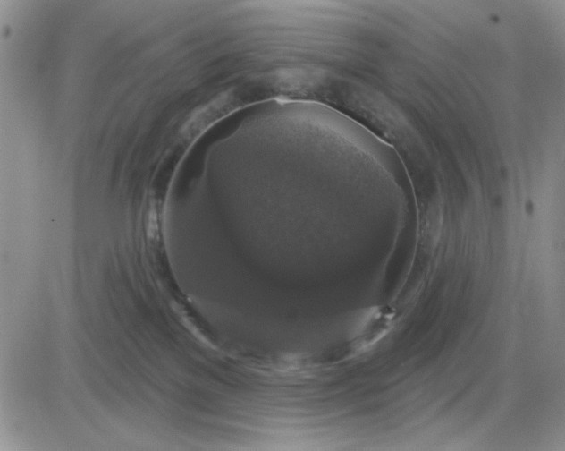 X0000081460137200701261947