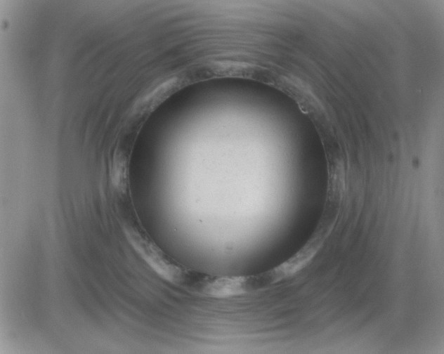 X0000081460138200701261947