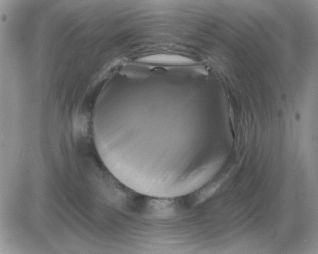 X0000081460139200701261947