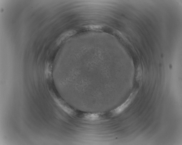 X0000081460140200701261947