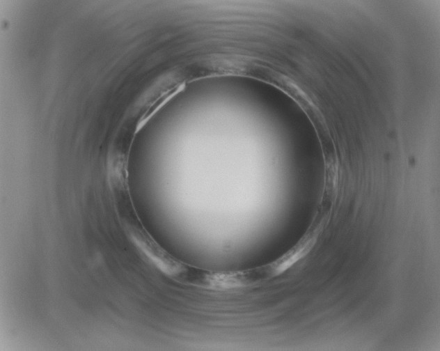 X0000081460141200701261947