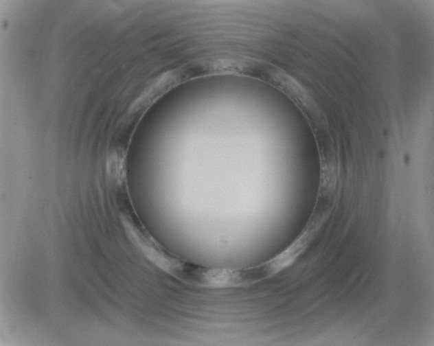 X0000081460142200701261947