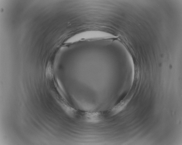 X0000081460143200701261947