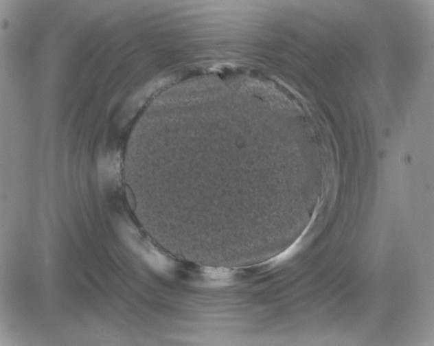 X0000081460144200701261947