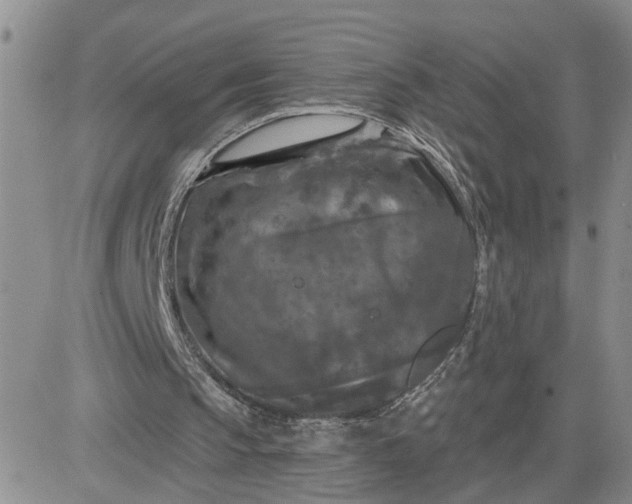 X0000081460145200701261946