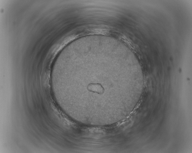 X0000081460146200701261946