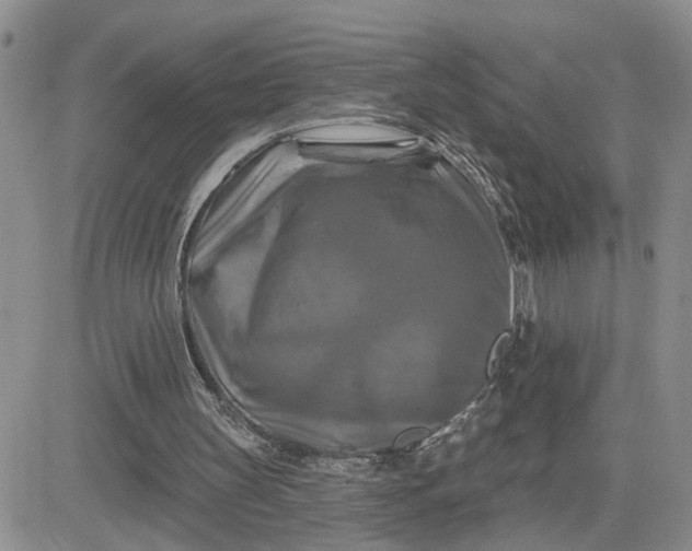 X0000081460147200701261946