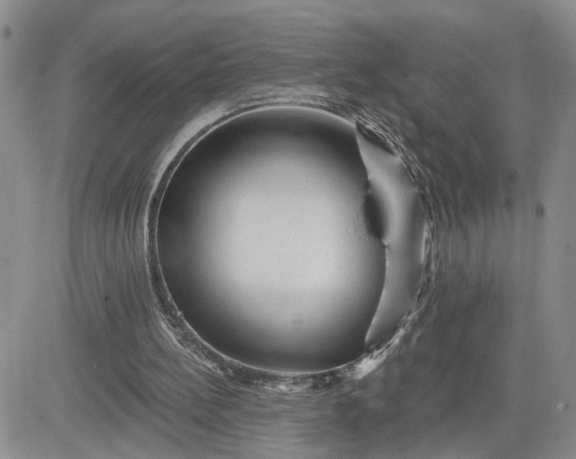 X0000081460148200701261946