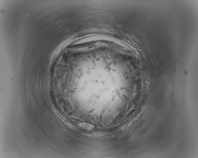 X0000081460149200701261946