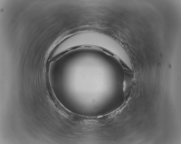 X0000081460150200701261946