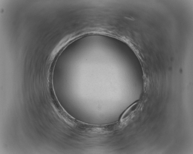 X0000081460151200701261946