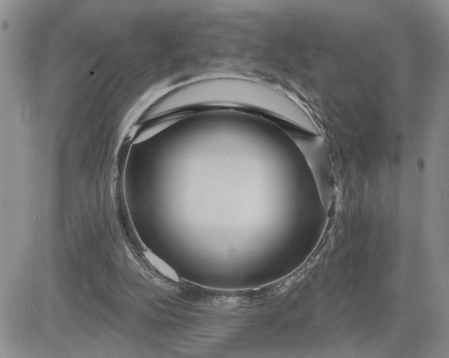 X0000081460152200701261946