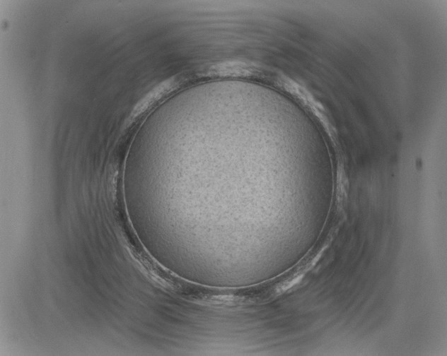 X0000081460153200701261946