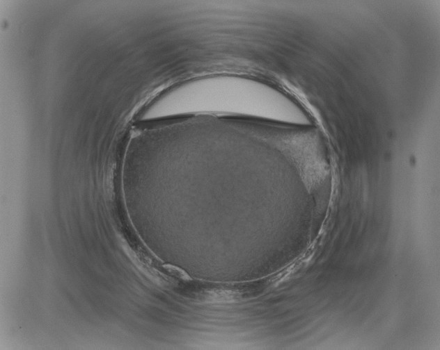 X0000081460154200701261946