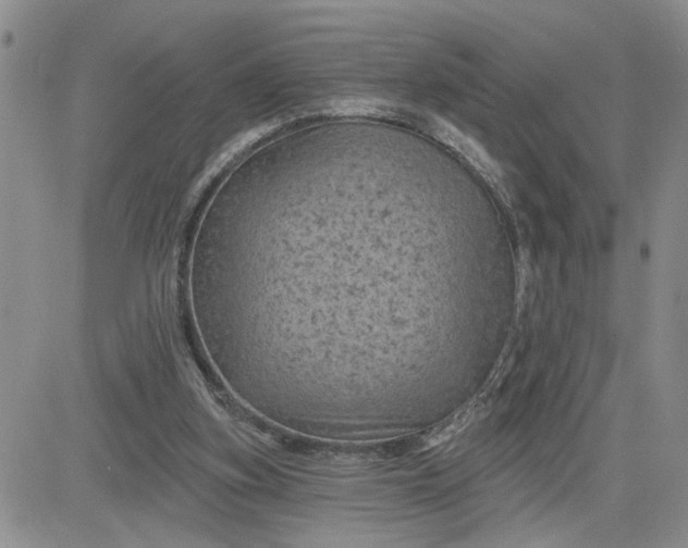 X0000081460155200701261946