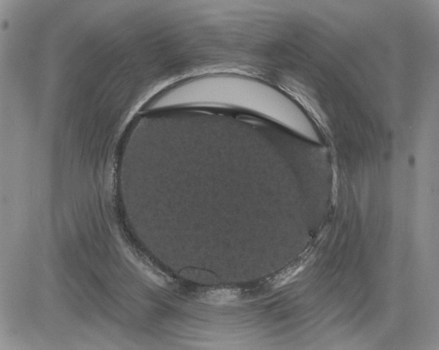 X0000081460156200701261946