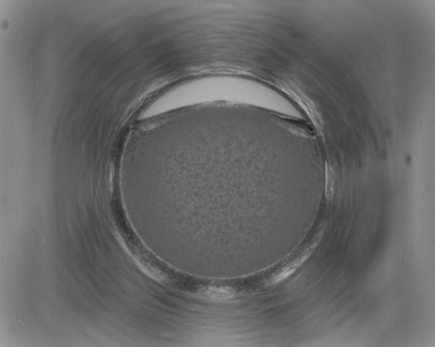 X0000081460157200701261946