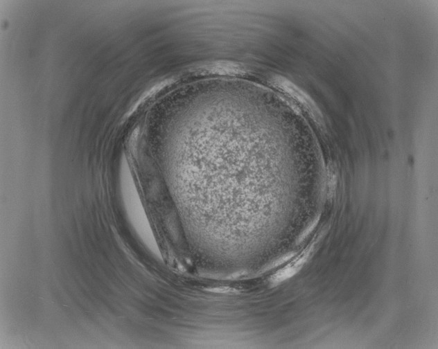 X0000081460158200701261946